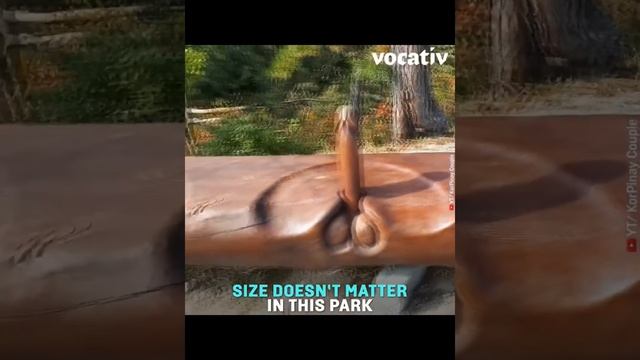 Penis Park In South Korea