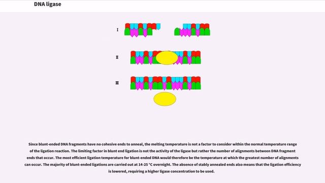 DNA ligase смотреть онлайн