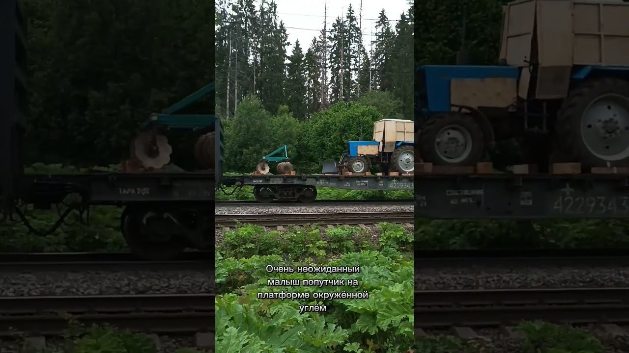 Нежданные гости смотреть онлайн