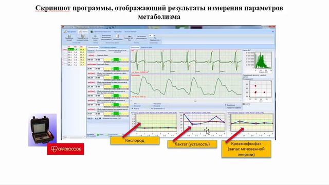 Лекция 2 2023 смотреть онлайн