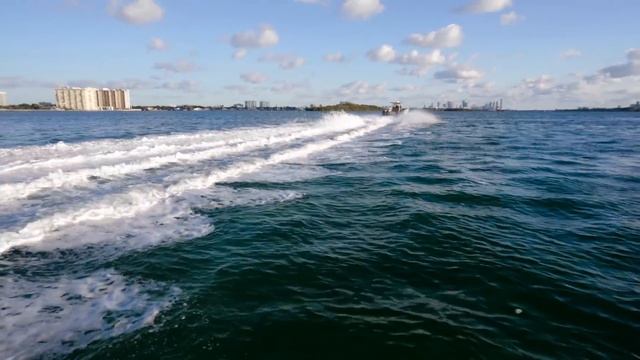 He Found Out ! Blue Cat Sea Trial ! Both 17' and 30' (Miami Boat Show) смотреть онлайн