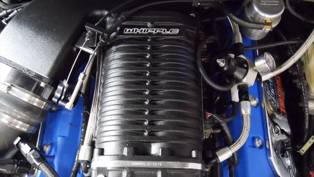 Check out this Supercharged 2003 Mustang Cobra Terminator! смотреть онлайн