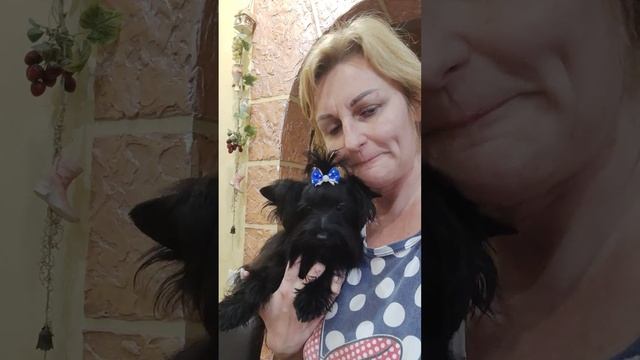 ПРОДАН‼️Черный Йорк Амур в поиске ответственных владельцев Доставка по миру+79788972514 смотреть онлайн