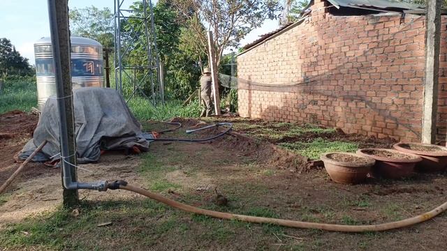 làm vườn sầu riêng trồng rau giúp vợ/#gardening смотреть онлайн