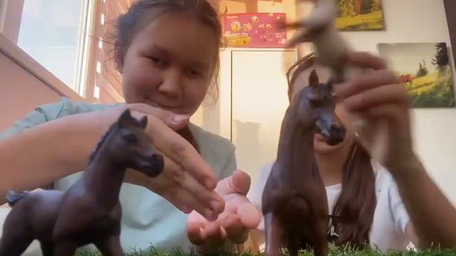 ￼ Распаковка лошадь Шляйх Же ребёнок погоды Арабский￼ и Собака￼Папо Породы хаски￼￼ смотреть онлайн