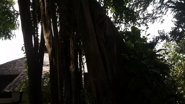 Mercure Resort, Sanur, Bali