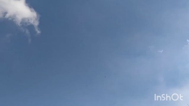 Николаевские голуби смотреть онлайн