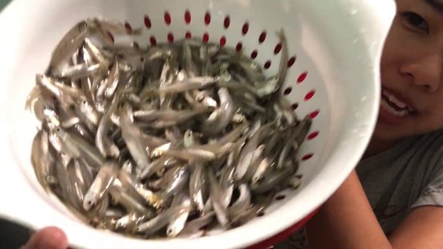 Catch and Cook: Anchovies (ikan bilis) смотреть онлайн