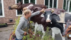 ПРИЯТНЫЕ ХЛОПОТЫ НА БЕЛОЙ КОЗЕ