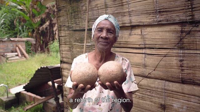 Planting Hope смотреть онлайн