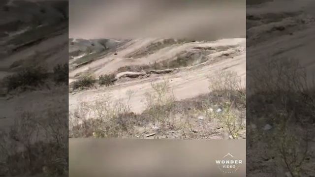 Enduro por las arenas .motor 250 cc factory y honda 150 cross😎 смотреть онлайн