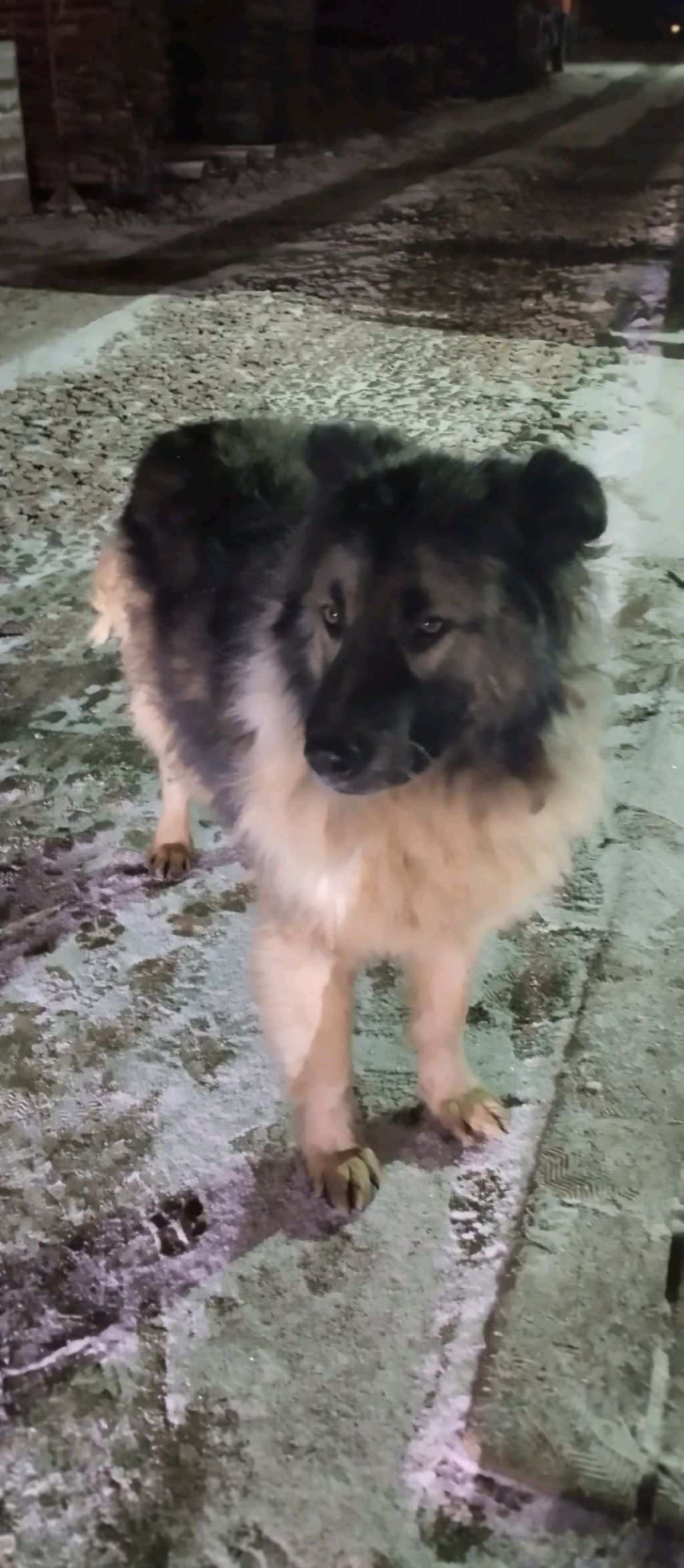 обыкновенная трансляция