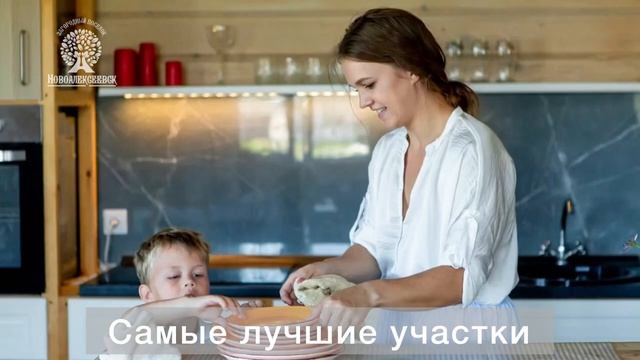 Участки ИЖС НСО. Https___novoalexeevsk.ru