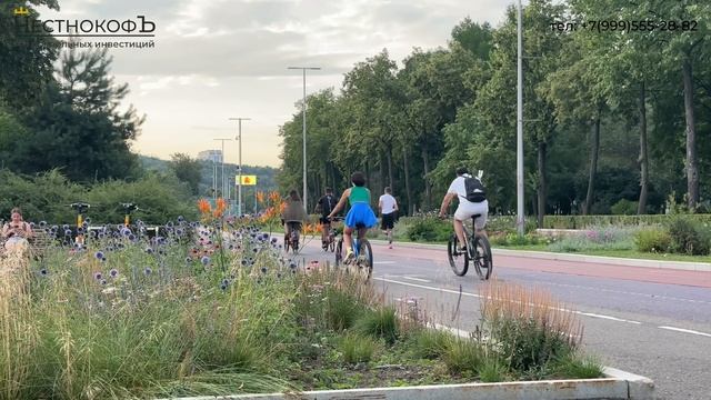 Купить квартиру рядом с парком в Москве, ЖК, цены, отзывы с АН ЧестнокофЪ смотреть онлайн