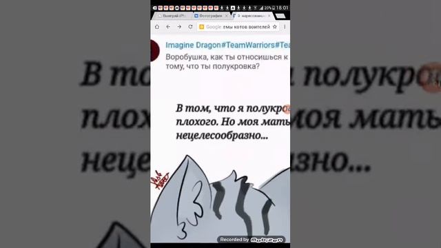 Спроси кота воителя из интернета √1 смотреть онлайн