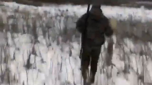 Великолепная охота на зайцев в декабре 2013 года!!!Всем смотреть!!! смотреть онлайн