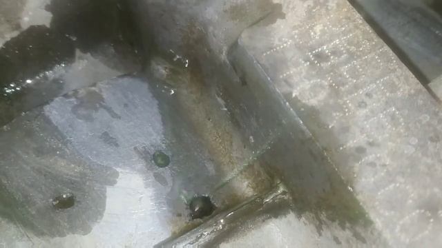 coolant leaking from back of engine || Hyundai I 10 sports Kappa 2 engine смотреть онлайн