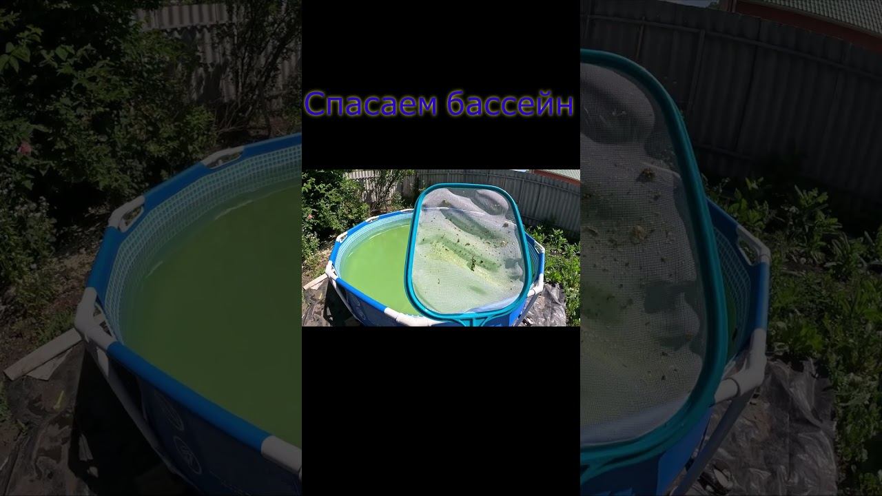 ПОЗЕЛЕНЕЛ БАССЕЙН .ЧТО ДЕЛАТЬ? смотреть онлайн