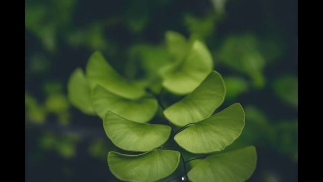 1-Minute of Meditation Music for Deep Relaxation, Relaxation Music for Complete Relaxation - Part 7 смотреть онлайн