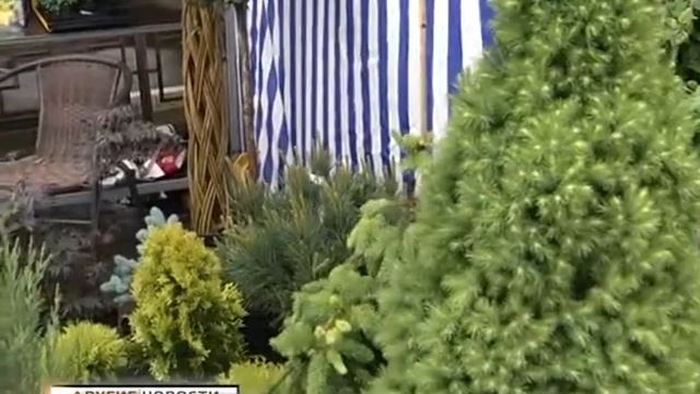 Другие новости_Выставка Владимирская весна смотреть онлайн