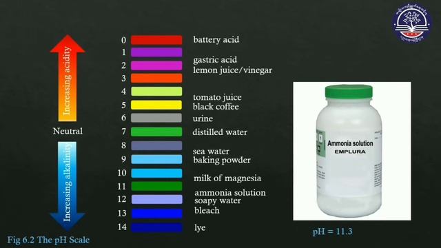Grade 10 Chemistry, Chapter 6, 6 3 Indicators and the pH Scale смотреть онлайн