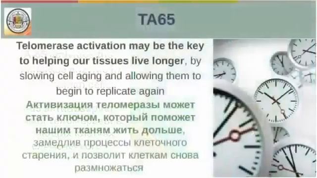 Нобелевские премии и Создатели продукции JEUNESSE смотреть онлайн