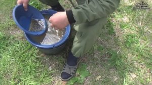 Первые гости