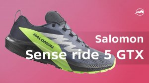 Кроссовки Salomon Sense Ride 5 Gtx