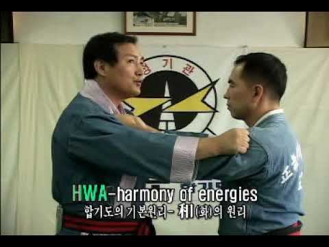 Hapkido - Jungki Kwan