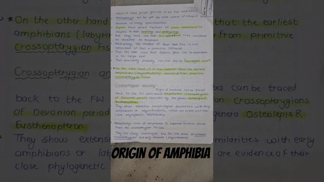 origin of amphibia #bsc #msc final Biology of CHORDATES смотреть онлайн