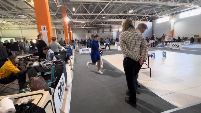 ОЛИГАРХ С РУССКОЙ ДУШОЙ смотреть онлайн