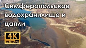 Крым. Январь 2021. Симферопольское водохранилище и цапли (4k)
