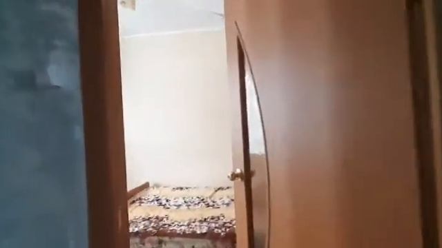 Сосновый бор смотреть онлайн