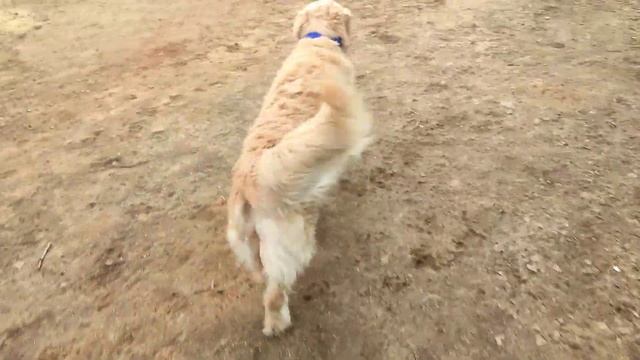 21 апреля 2022 г. смотреть онлайн