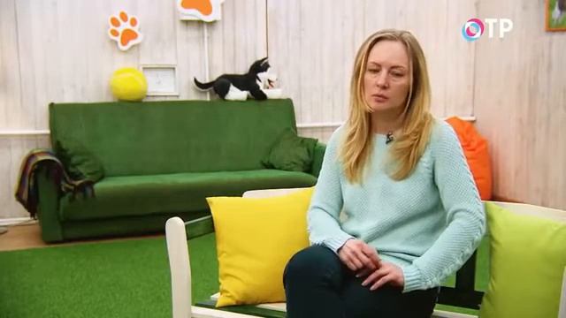 Программа ЗА ДЕЛО! . Вверх тормашками. Мифы и предрассудки о синдроме Дауна смотреть онлайн