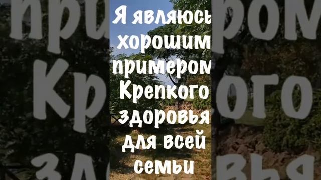 Аффирмации на здоровье! #subliminal #аффирмации #relaxblender смотреть онлайн