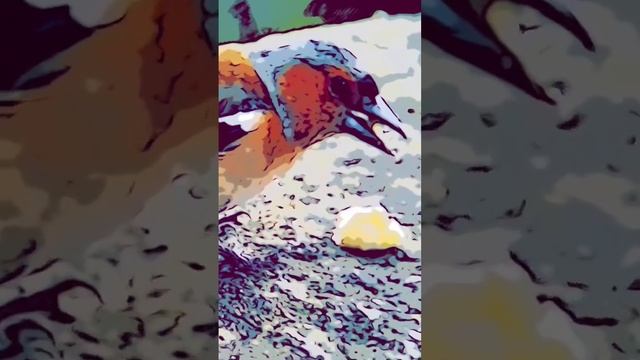 Случай в кафе. Бабушка села за столик и ест бутерброд… смотреть онлайн