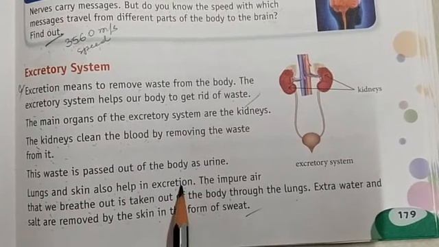 JSVP - TERM2, GRADE 3, SCIENCE LESSON NO. 2 OUR BODY PART - 2 смотреть онлайн