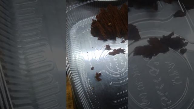 Армянская традиционная бастурма из свинины и курицы смотреть онлайн