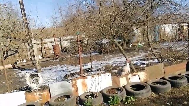 Весна пришла, но зима не сдается. смотреть онлайн