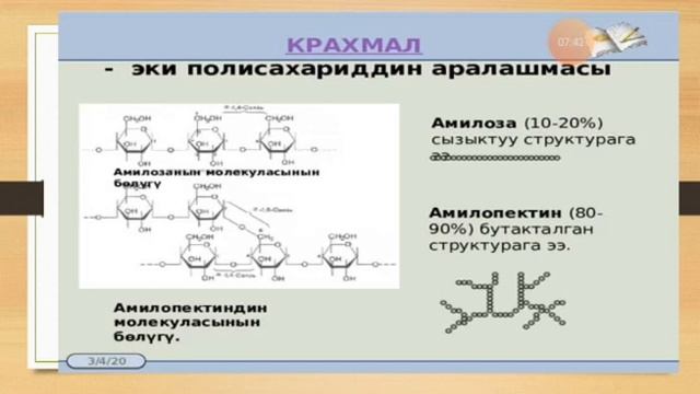 10- класс. Химия. Полисахариддер. смотреть онлайн