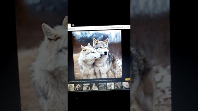 Тут участвовали все с 55 уровнем хотите продолжение ?Тогда только нибиреться 200 лайков удачи 😋 смотреть онлайн