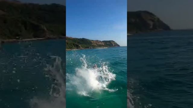 Сальто в воду. Отдых в Таиланде. смотреть онлайн