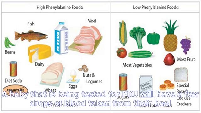 Phenylketonuria: symptoms, tests, and treatment смотреть онлайн