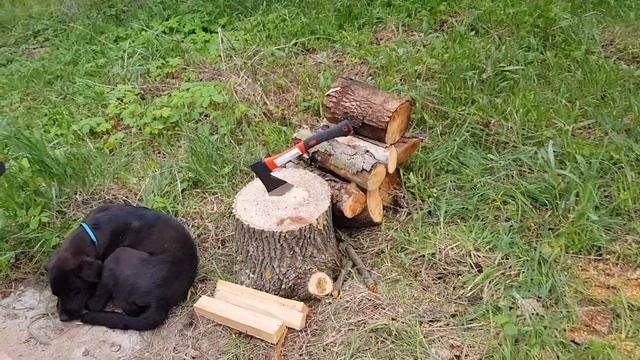 Еко відпочинок в "Затишній садибі" Беседки смотреть онлайн