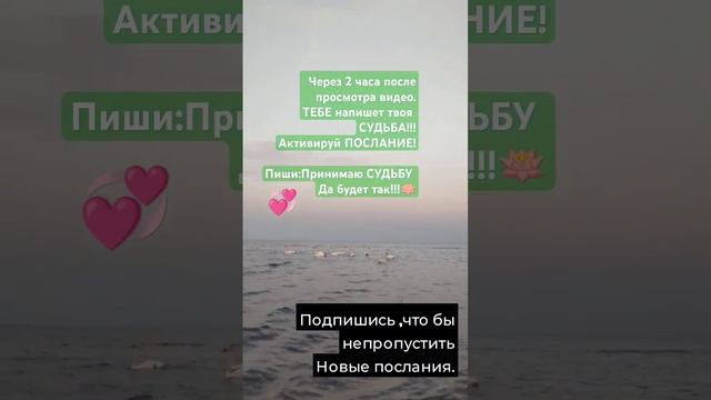 тебе напишет твоя судьба #shortvideo #любовь #music #love #тикток смотреть онлайн