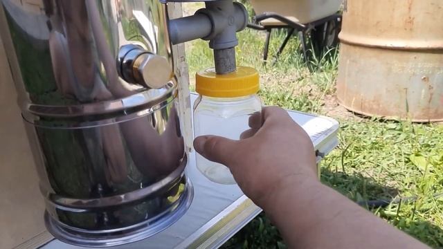 Звериные короли