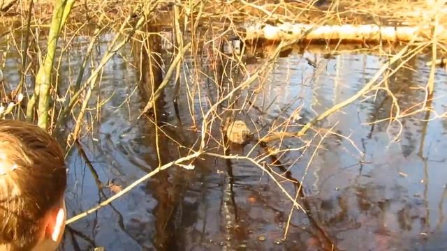 ёжик Жорик умеет плавать смотреть онлайн