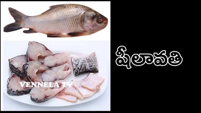 చేపలు వాటి పేర్లు | Fishes Names | VENNELA TV смотреть онлайн