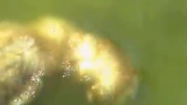 Водолаз Рокки смотреть онлайн